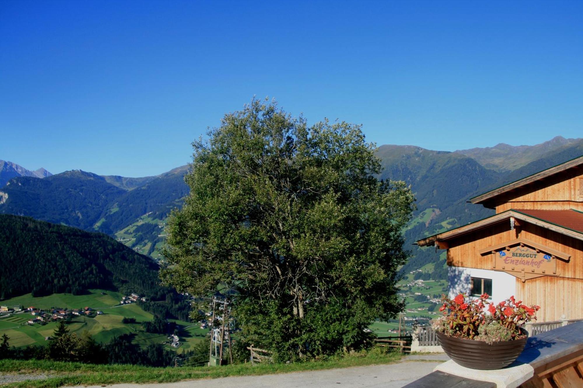 Alpengasthof Enzianhof Zell am Ziller Buitenkant foto
